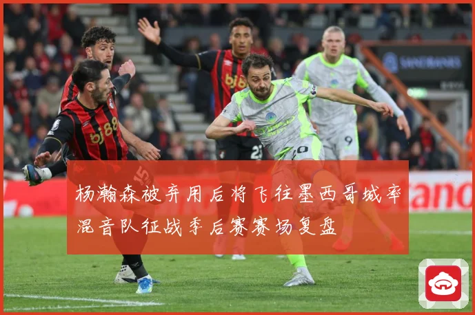 杨瀚森被弃用后将飞往墨西哥城率混音队征战季后赛赛场复盘