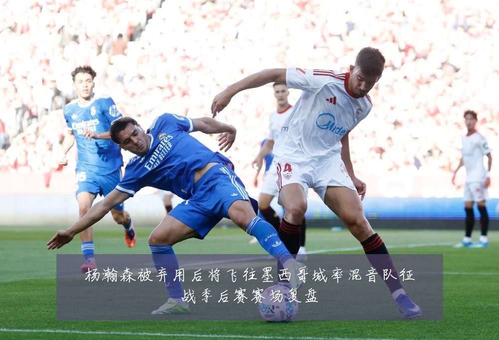 杨瀚森被弃用后将飞往墨西哥城率混音队征战季后赛赛场复盘